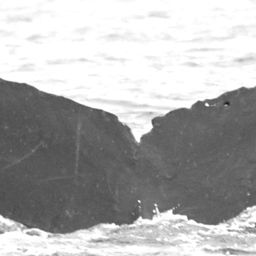 Fluke of Poniuniu