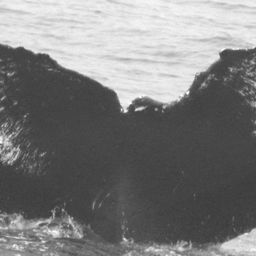 Fluke of CRC-9502