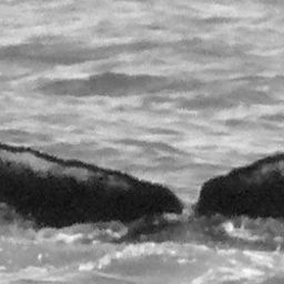 Fluke of CRC-15440