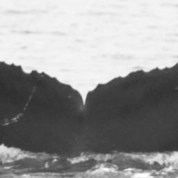 Fluke of CRC-15432