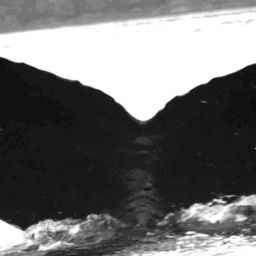 Fluke of SEAK-2570