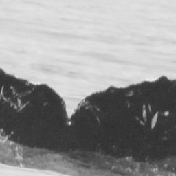 Fluke of CRC-13563