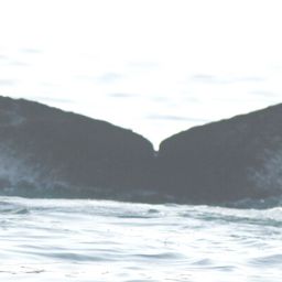 Fluke of CRC-16895