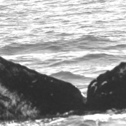 Fluke of CRC-15393