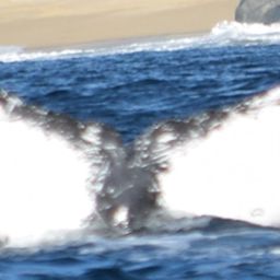 Fluke of Skreppa