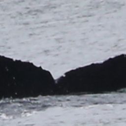 Fluke of BCX1717