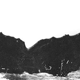 Fluke of CRC-12073