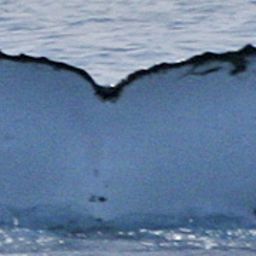 Fluke of UID-2560