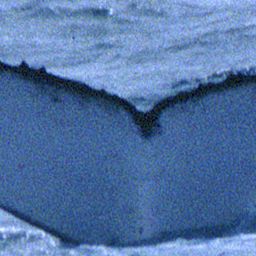 Fluke of UID-0497