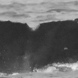 Fluke of CRC-15513