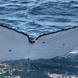 Fluke of UID-3152