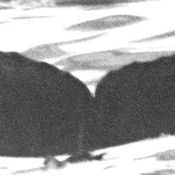 Fluke of CRC-16040