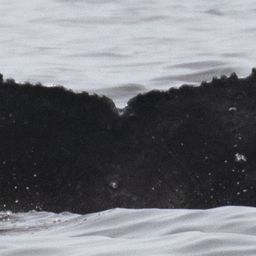 Fluke of Crosscut
