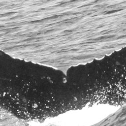Fluke of CRC-16110