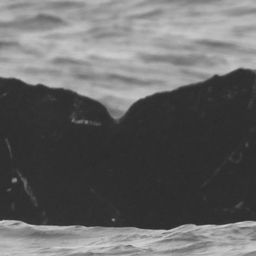 Fluke of CRC-15983