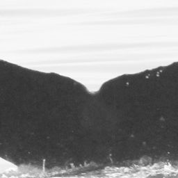 Fluke of CRC-13566