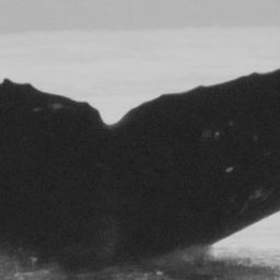 Fluke of Sabre