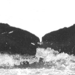 Fluke of CRC-13590
