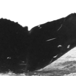 Fluke of CRC-15949