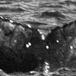 Fluke of CRC-15944