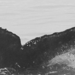 Fluke of CRC-16175