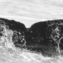 Fluke of CRC-16119