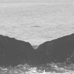 Fluke of CRC-16192
