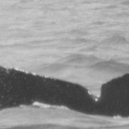 Fluke of CRC-10655