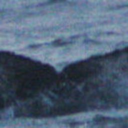 Fluke of HW-MN0102501