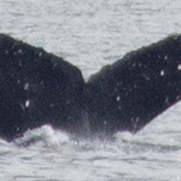 Fluke of HW-MN0401327