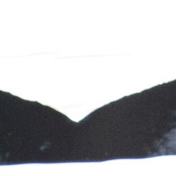 Fluke of CRC-19822
