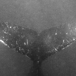 Fluke of NA-3629