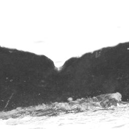 Fluke of CRC-15650
