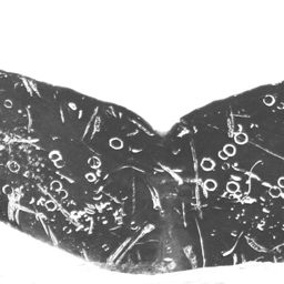 Fluke of Ione