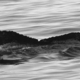 Fluke of BCX0195