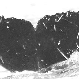 Fluke of CRC-13589