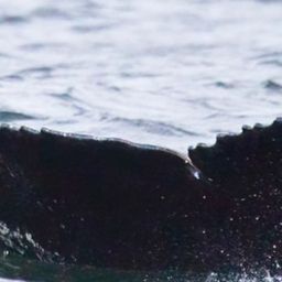 Fluke of Caliche