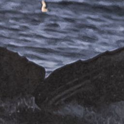 Fluke of CRC-19770