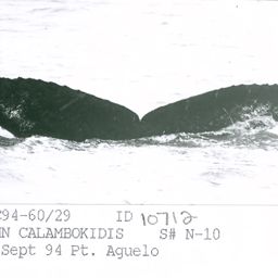 Fluke of CRC-10712
