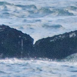 Fluke of PWF-NP_5925