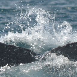 Fluke of HW-MN0522807