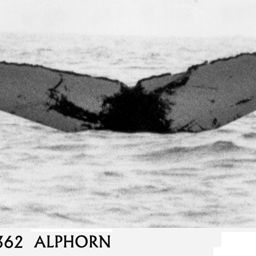 Fluke of Alphorn