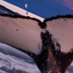 Fluke of HW-MN0200140