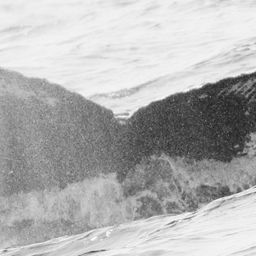 Fluke of CRC-14023