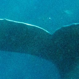 Fluke of HW-MN0102637