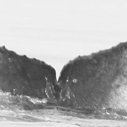 Fluke of CRC-15521