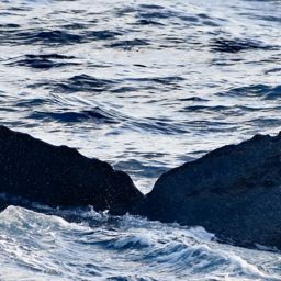 Fluke of HW-MN0443540