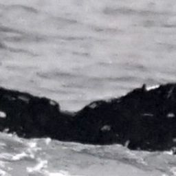 Fluke of SEAK-5495