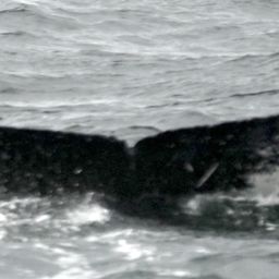 Fluke of HW-MN0401344