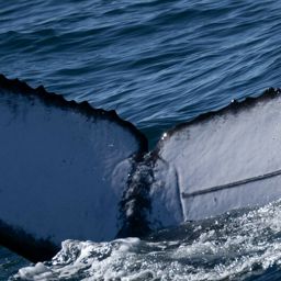 Fluke of CRC-20605
